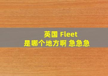 英国 Fleet 是哪个地方啊 急急急