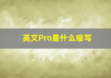 英文Pro是什么缩写