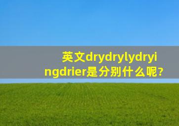 英文dry,dryly,drying,drier是分别什么呢?