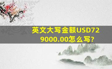 英文大写金额USD729,000.00怎么写?