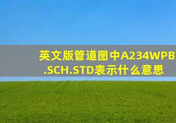 英文版管道图中A234WPB.SCH.STD表示什么意思