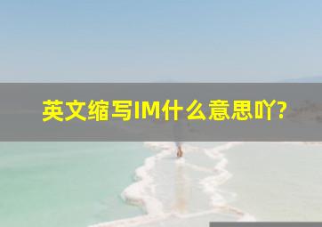 英文缩写IM什么意思吖?