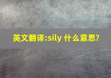 英文翻译:sily 什么意思?