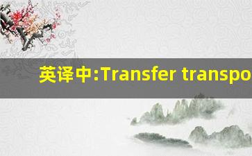 英译中:Transfer transport