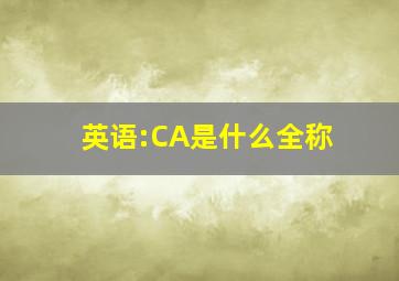 英语:CA是什么全称