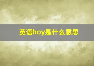 英语hoy是什么意思