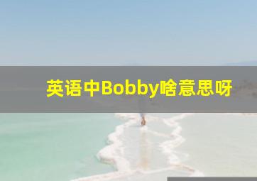 英语中Bobby啥意思呀