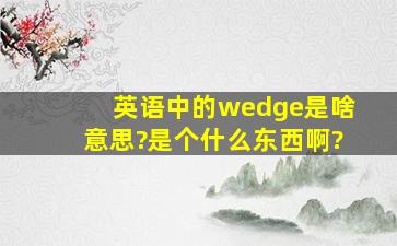 英语中的wedge是啥意思?是个什么东西啊?