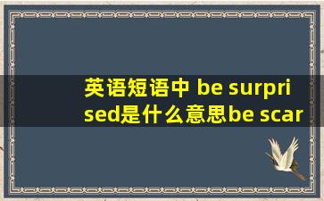 英语短语中 be surprised是什么意思,be scared是什么意思.