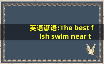 英语谚语:The best fish swim near the bottom 中文翻译是什么?