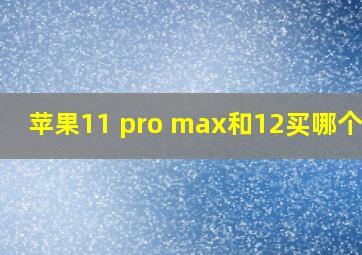 苹果11 pro max和12买哪个好?