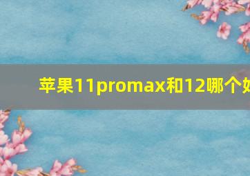 苹果11promax和12哪个好