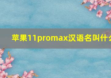 苹果11promax汉语名叫什么(