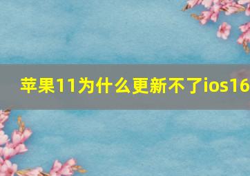 苹果11为什么更新不了ios16