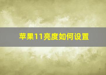 苹果11亮度如何设置