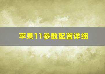 苹果11参数配置详细