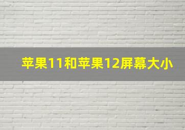 苹果11和苹果12屏幕大小