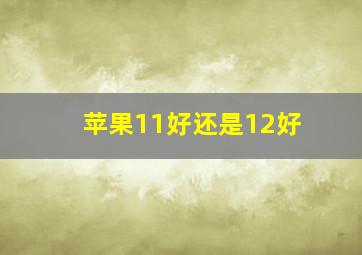 苹果11好还是12好