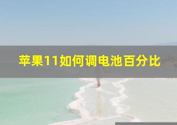 苹果11如何调电池百分比