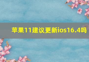 苹果11建议更新ios16.4吗