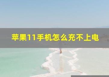 苹果11手机怎么充不上电(