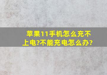 苹果11手机怎么充不上电?不能充电怎么办?