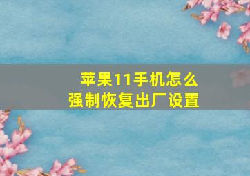 苹果11手机怎么强制恢复出厂设置