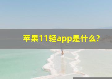 苹果11轻app是什么?