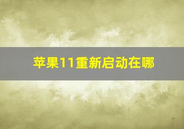 苹果11重新启动在哪