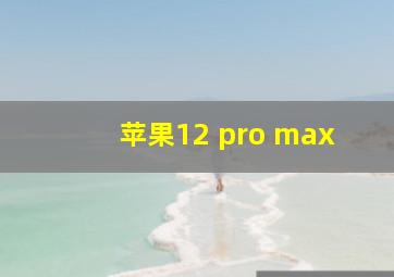 苹果12 pro max