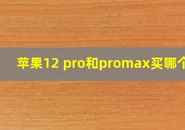 苹果12 pro和promax买哪个好