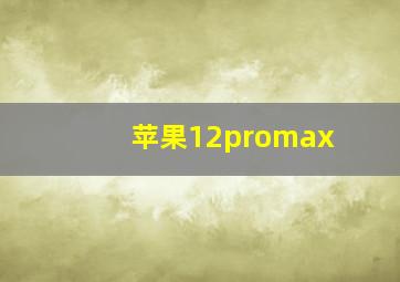 苹果12promax