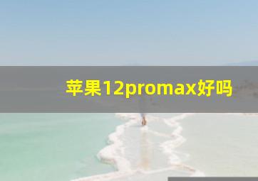 苹果12promax好吗