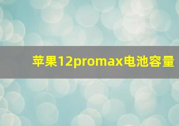 苹果12promax电池容量