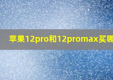 苹果12pro和12promax买哪个好