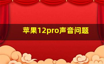 苹果12pro声音问题