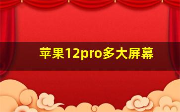 苹果12pro多大屏幕