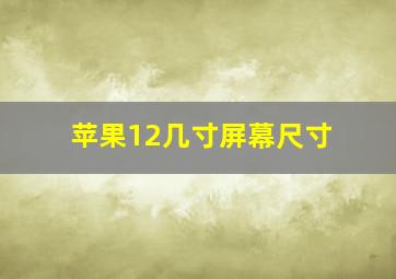 苹果12几寸屏幕尺寸