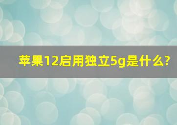 苹果12启用独立5g是什么?