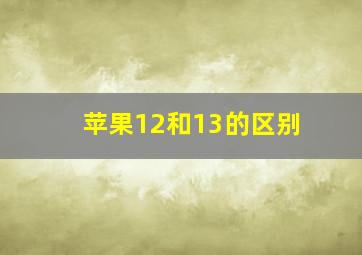 苹果12和13的区别