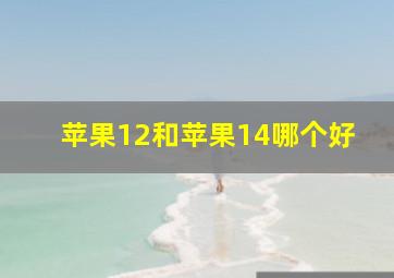 苹果12和苹果14哪个好