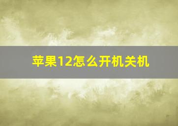 苹果12怎么开机关机