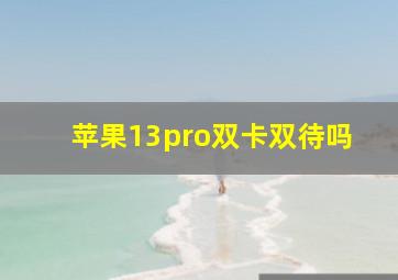 苹果13pro双卡双待吗