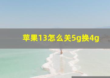 苹果13怎么关5g换4g