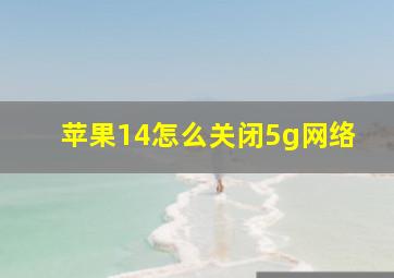 苹果14怎么关闭5g网络