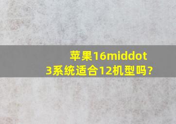 苹果16·3系统适合12机型吗?