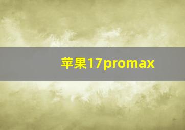 苹果17promax