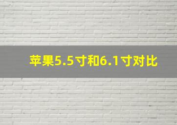 苹果5.5寸和6.1寸对比