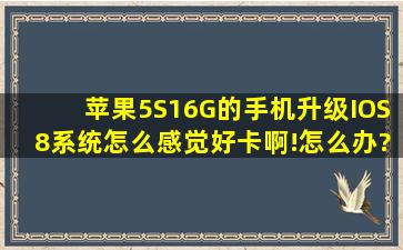 苹果5S16G的手机,升级IOS8系统,怎么感觉好卡啊!怎么办?