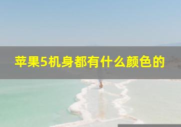 苹果5机身都有什么颜色的